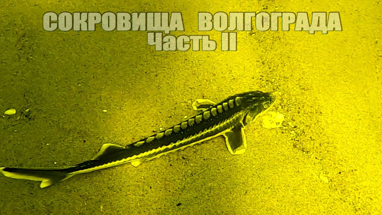 Подводная Охота 