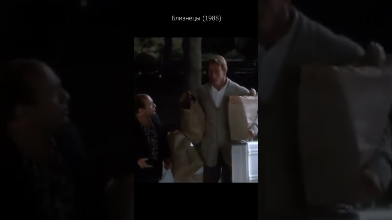 Близнецы 1988