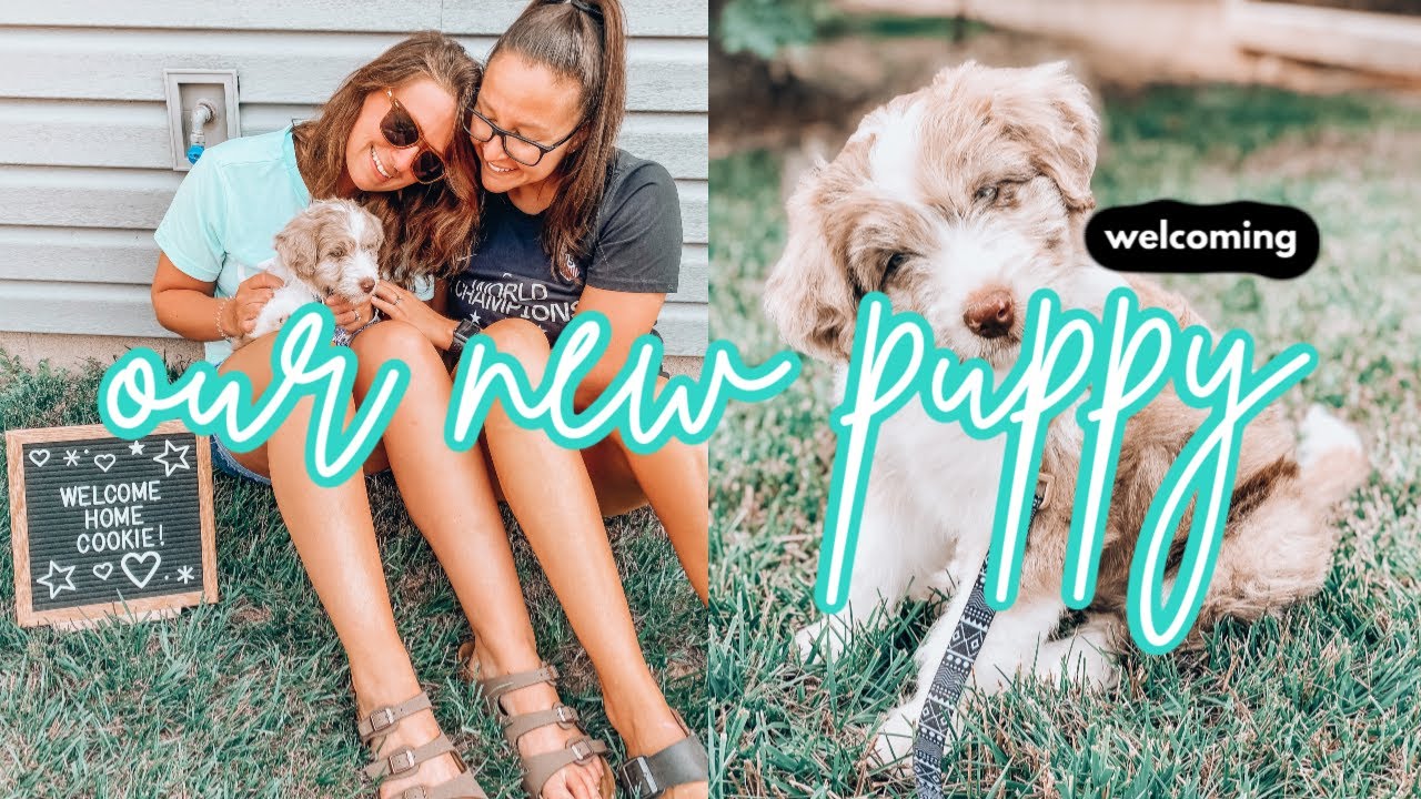 Welcoming Our New Puppy | Aussiedoodle Puppy | Lesbian Couple | LGBTQ | Chels + Ky