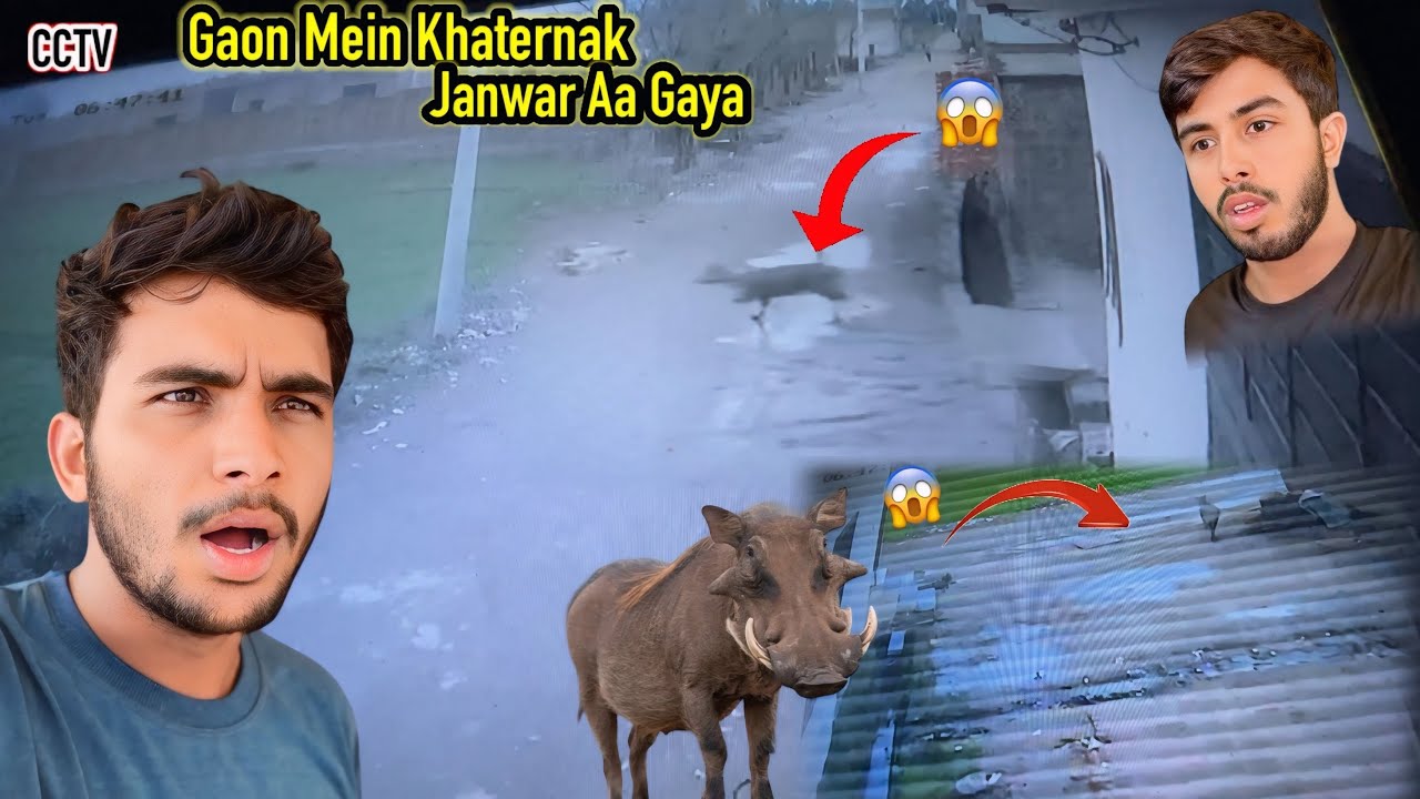 Gaon Main Khaternak Janwar Aa Gaya 😱 | Zohaib Pendu | Saqlain Pendu 