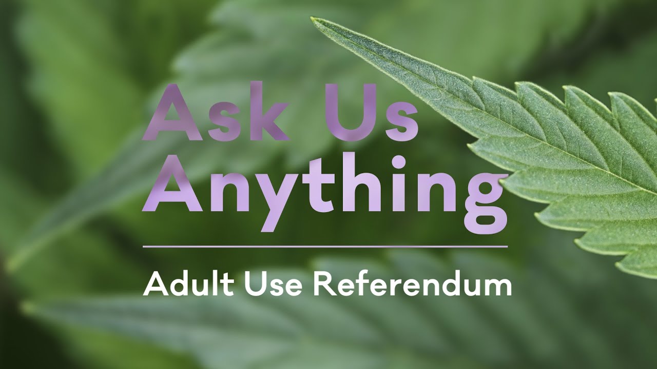 Cannasouth Ask Us Anything November 2020 Episode 05 Adult Use Referendum
