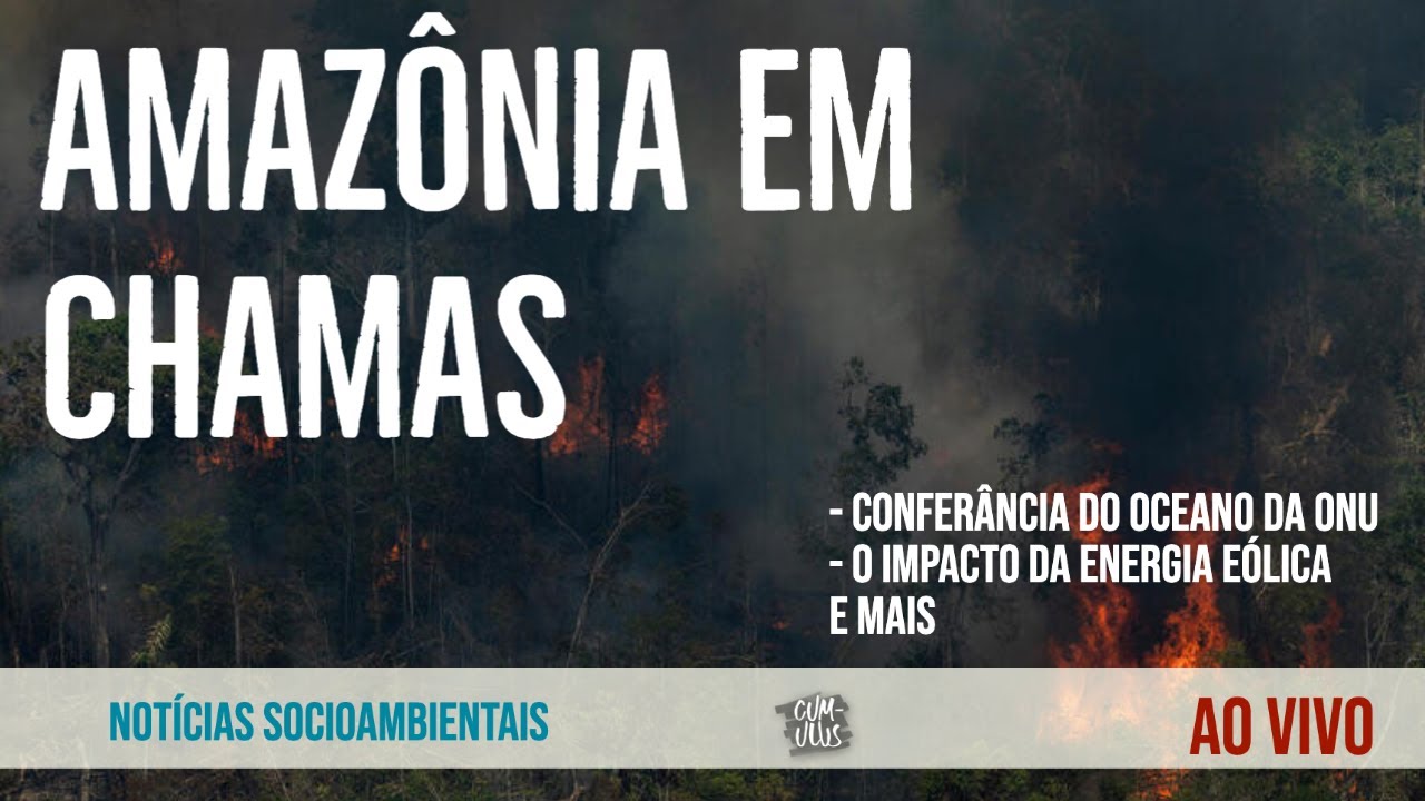 Recorde de inc&ecirc;ndios na Amaz&ocirc;nia; Confer&ecirc;ncia do Oceano e mais not&iacute;cias ambientais