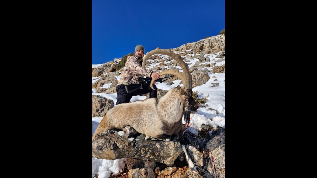Demirkazık Teke Avı (Nazmi K&ouml;yl&uuml;) Bezoar İbex Hunt Turkey 2025