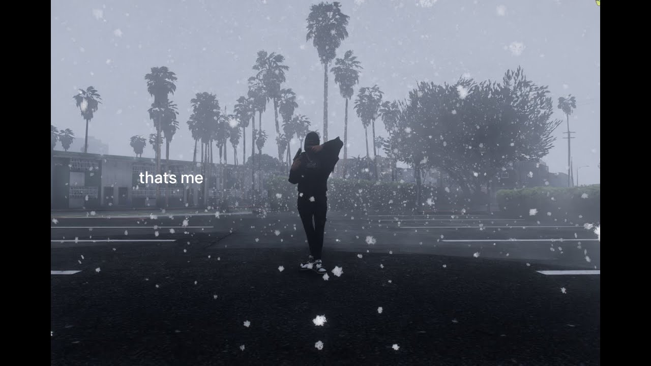 i GOT A PD 509 AND WENT CRAZY IN GTA 5 RP!
