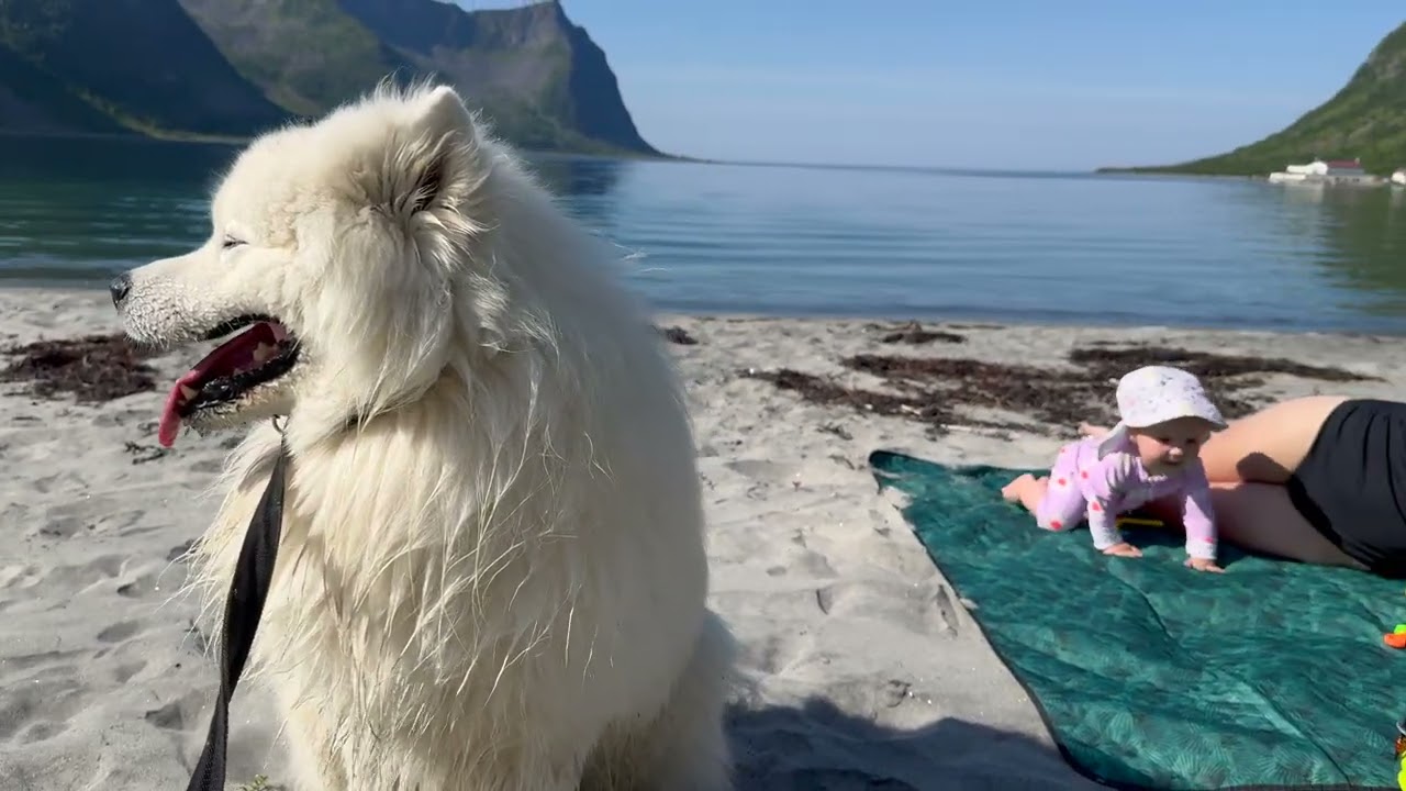 Senja Summer 2024 Northern Norway part 2