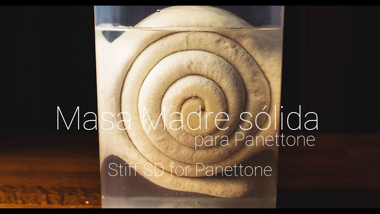 Cómo hacer masa madre sólida para Panettone - How to make stiff SD for Panettone