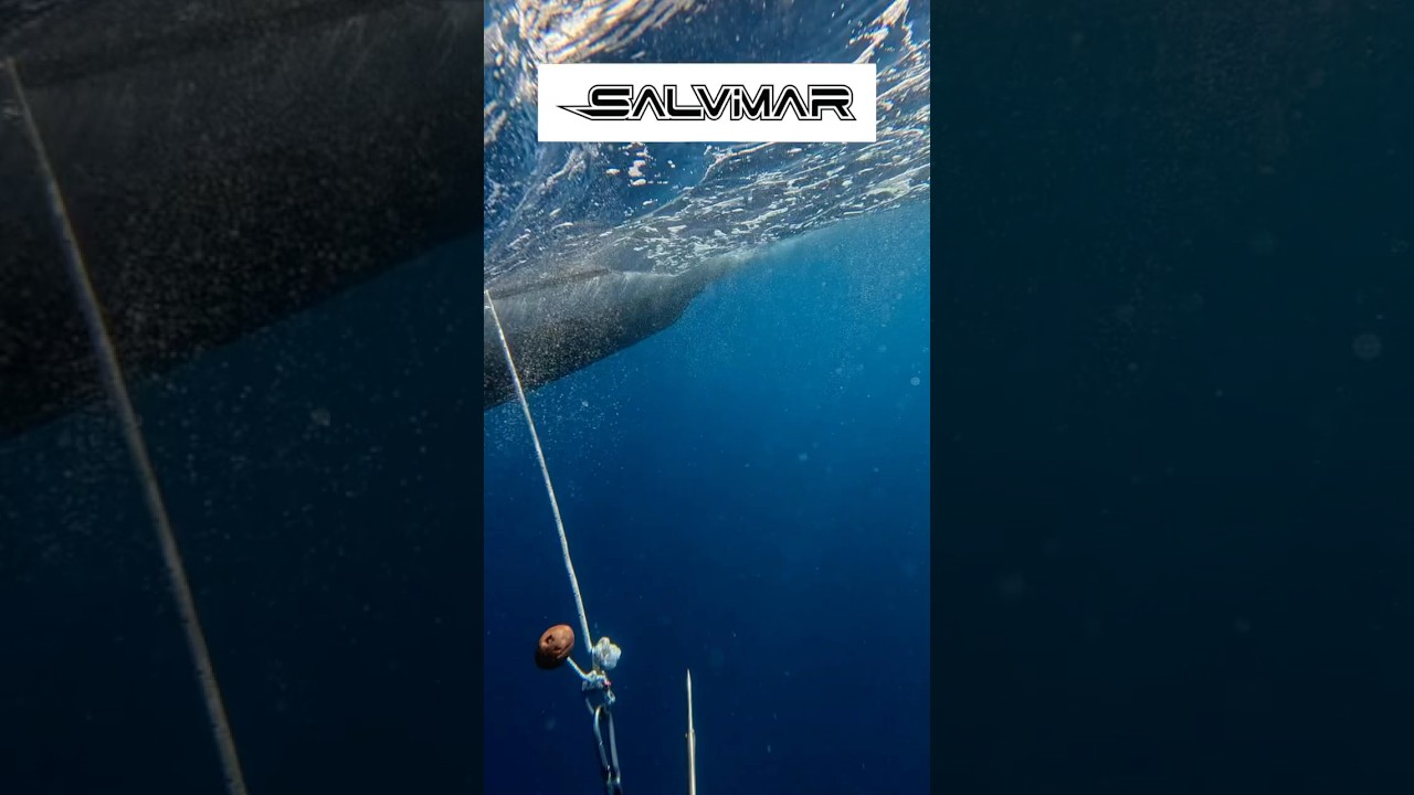 Pescasub: SALVIMAR ARES CARBO