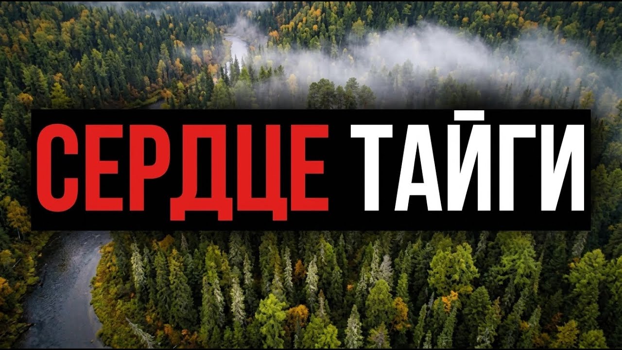 СЕРДЦЕ ТАЙГИ | Секрет, kt&oacute;ry скрывал сын тайги...