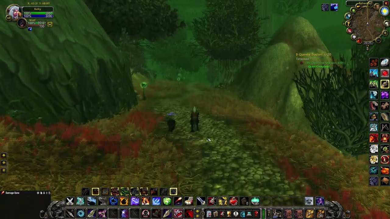 Cleansing Felwood (WOW classic quest)