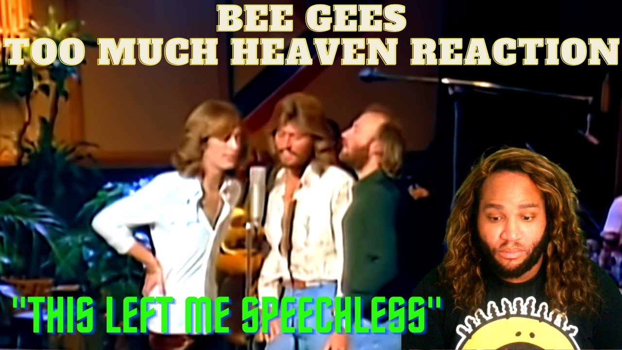 Реакция Bee Gees на «Слишком много небес»
