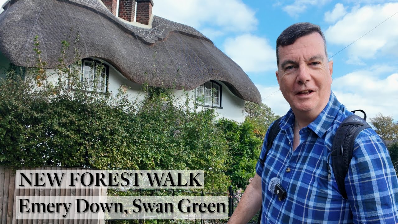 286: Emery Down and Swan Green (New Forest 2025)
