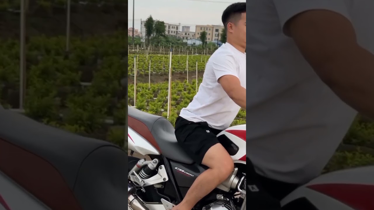 Honda CB1300 Check Sound 