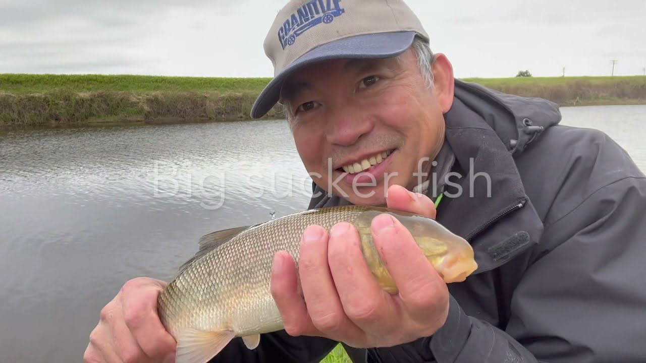 57, Fishing in Pitt Meadows Small River  皮特草原小河钓大鱼