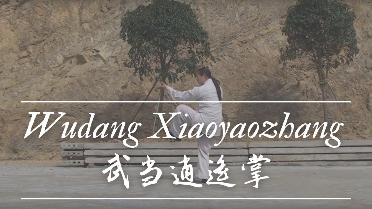 Wudang Xiaoyao Zhang 武当逍遥掌 Master Ming Yue 明月師父