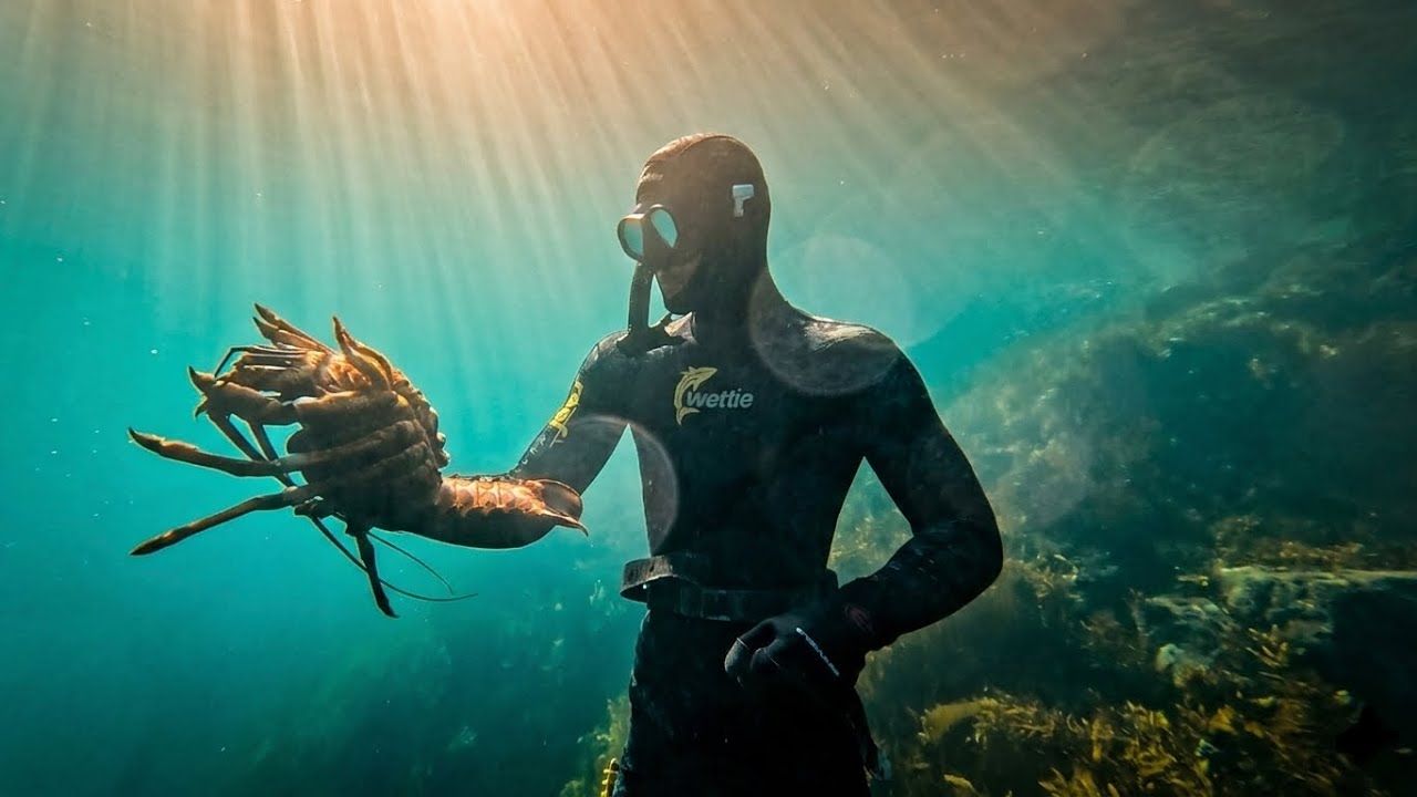 6 Days Living in New Zealand&rsquo;s Best Diving Spot