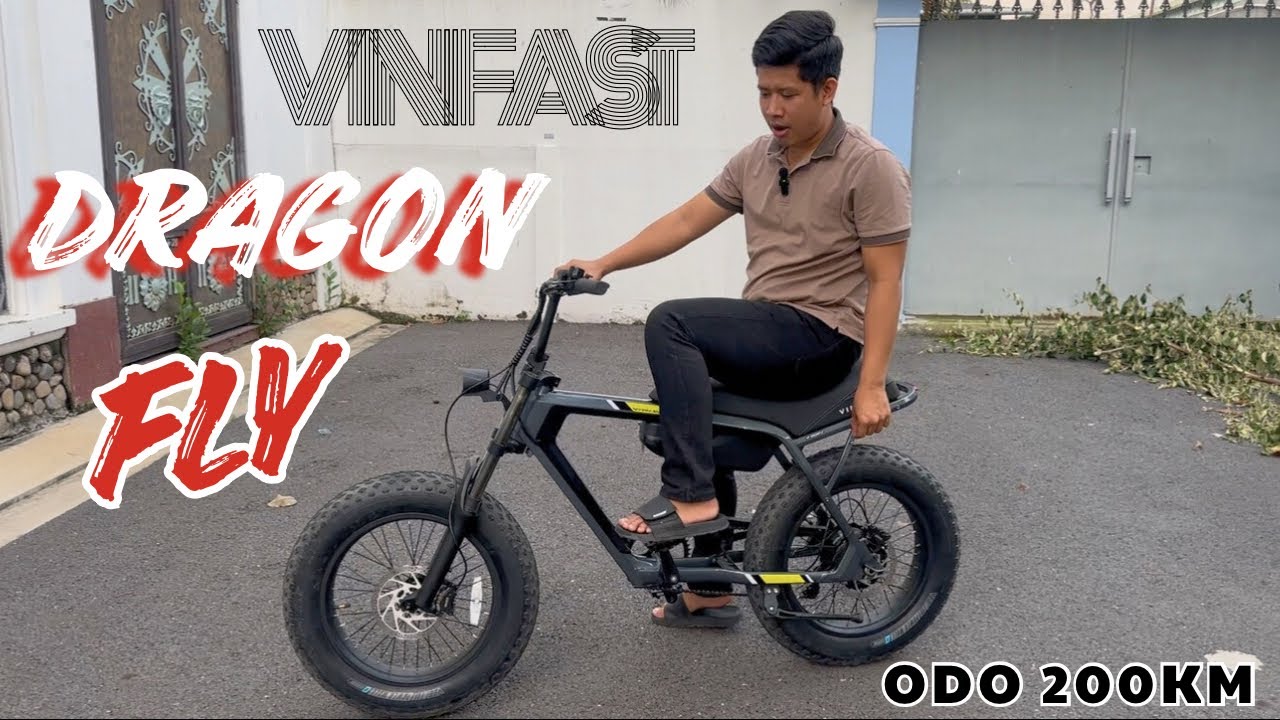 Vinfast Dragon Fly - Xe đạp trợ lực điện tiêu chuẩn châu Âu