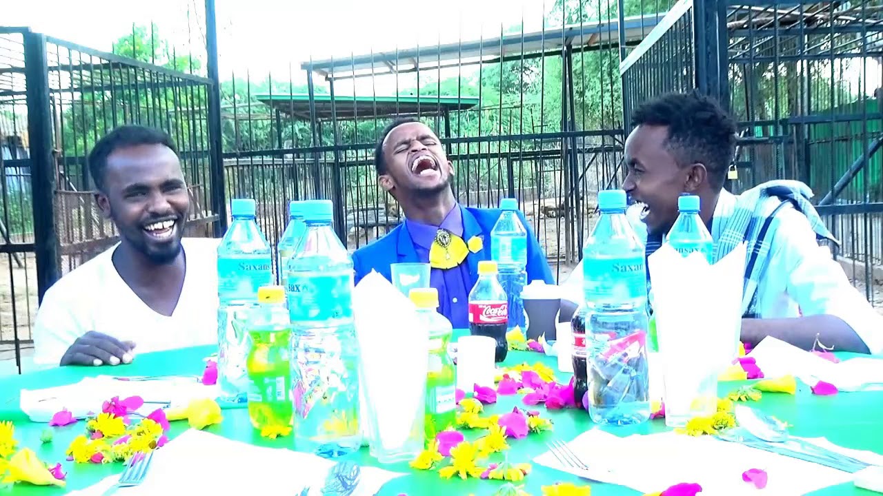 deg deg daawo guri barwaaqo wacdaro ka dhigay ban dhiga dun carbeed