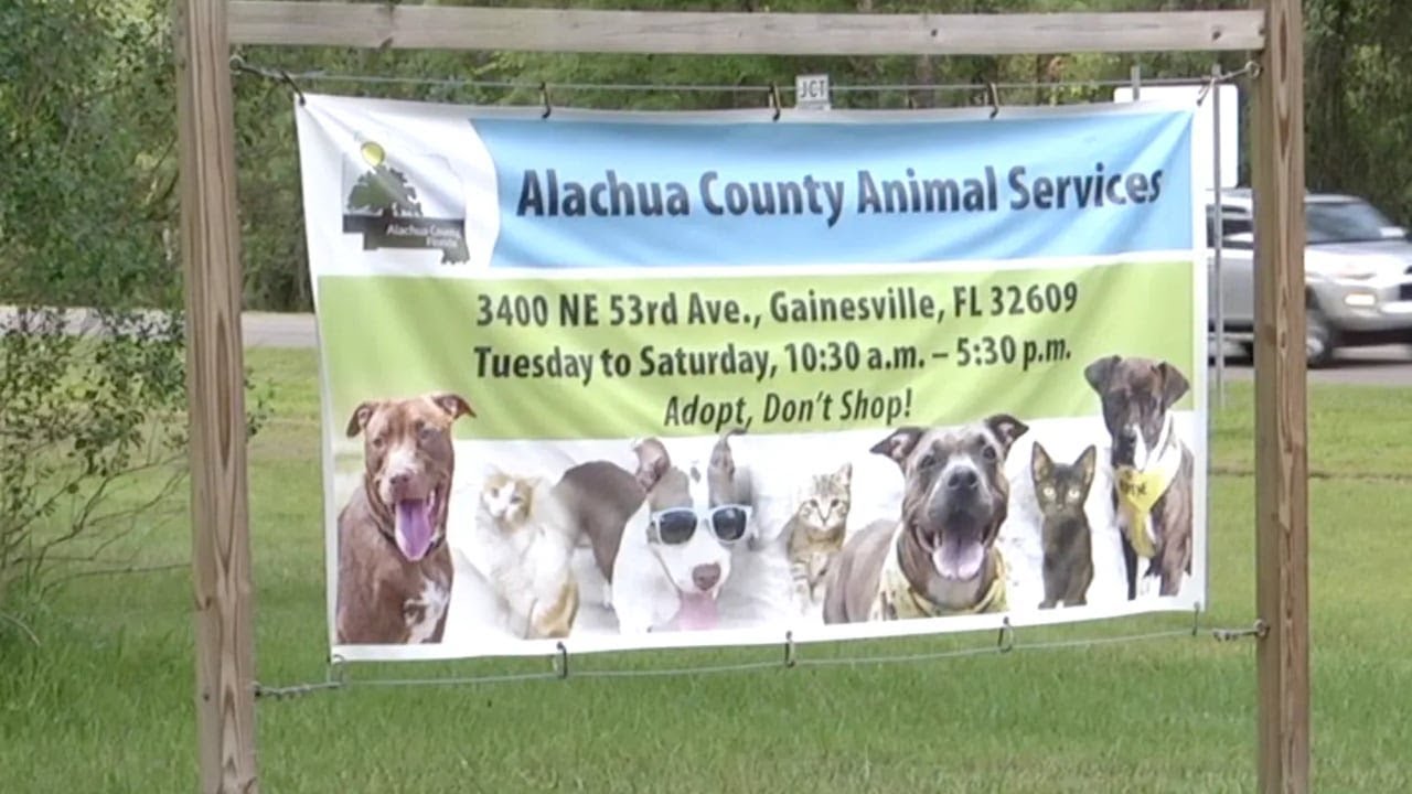 Alachua County commissioners approve animal services move near University of Florida
