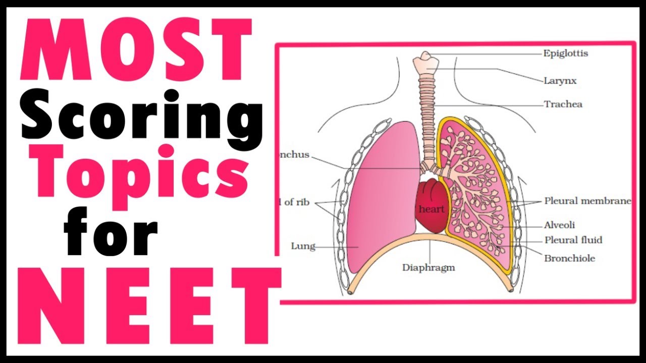 Most Important Chapters For Neet Biology|Biology Bytes|Neet biology Preparation