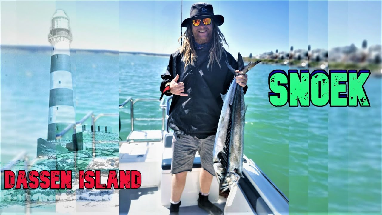 Snoek at Dassen Island on Kel - Sea
