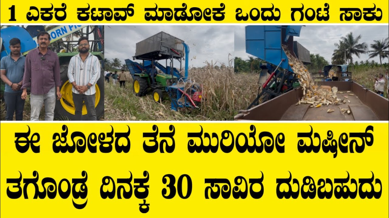 ಈ ಜೋಳದ ತೆನೆ ಮುರಿಯೋ ಮಷೀನ್ ರೈತರು ತಗೊಂಡ್ರೆ  ದಿನಕ್ಕೆ 30 ಸಾವಿರ ದುಡಿಬಹುದು||Corn picker machine