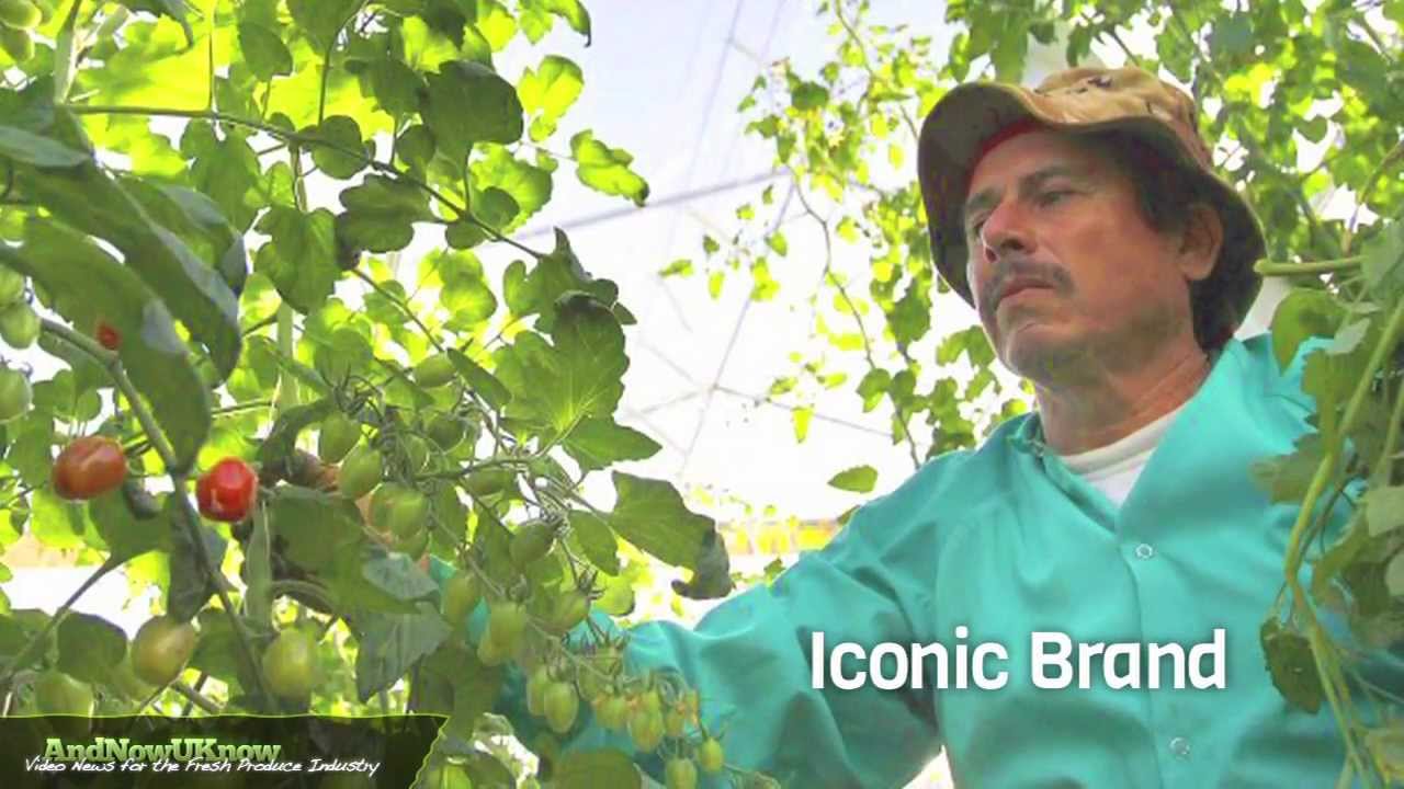 AndNowUKnow: Green Giant Fresh - Special Report