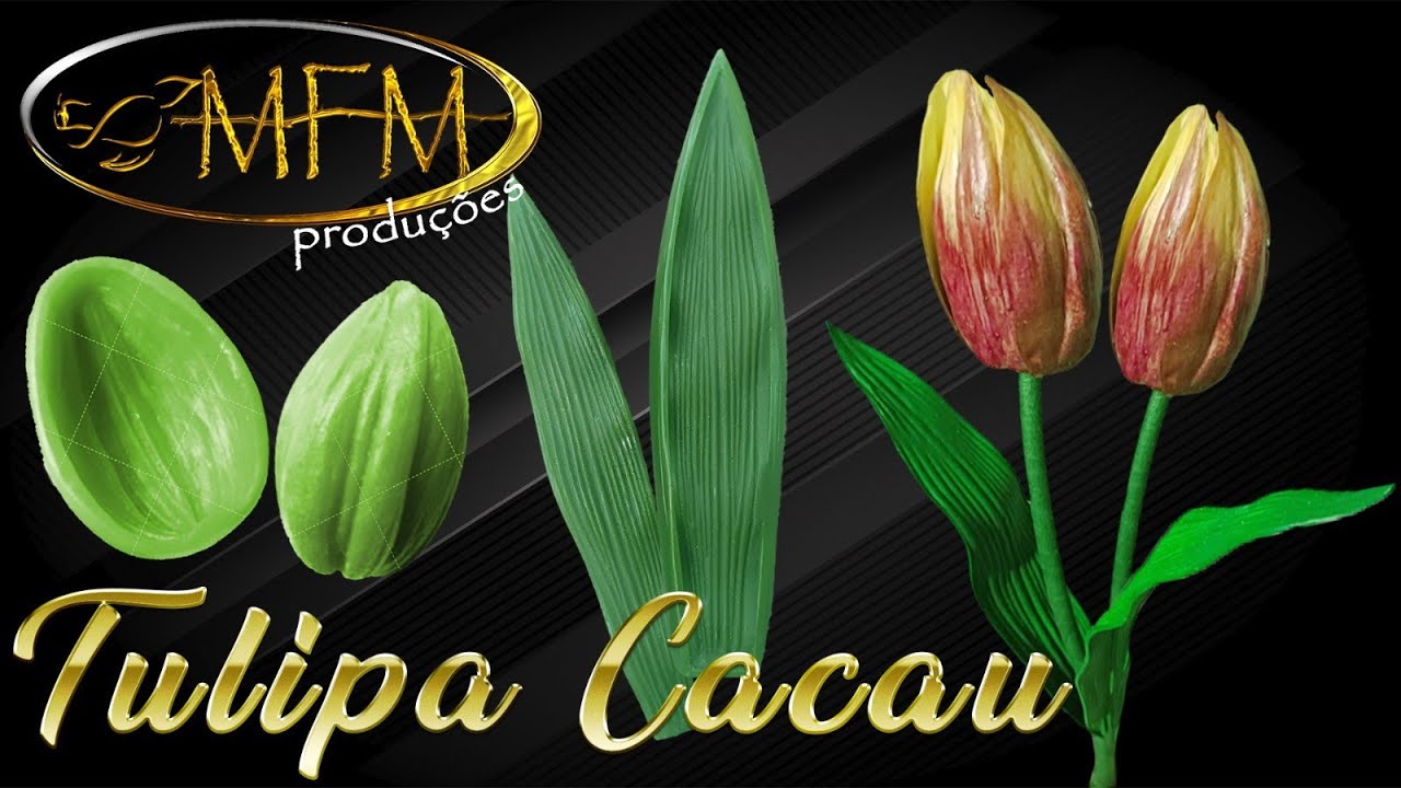 Tulipa Cacau
