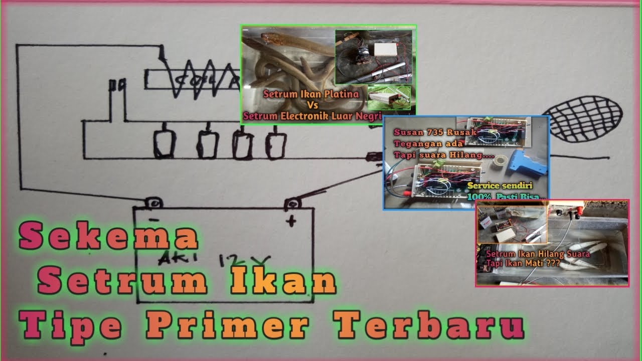 SEKEMA SETRUM IKAN TIPE PRIMER TERBARU