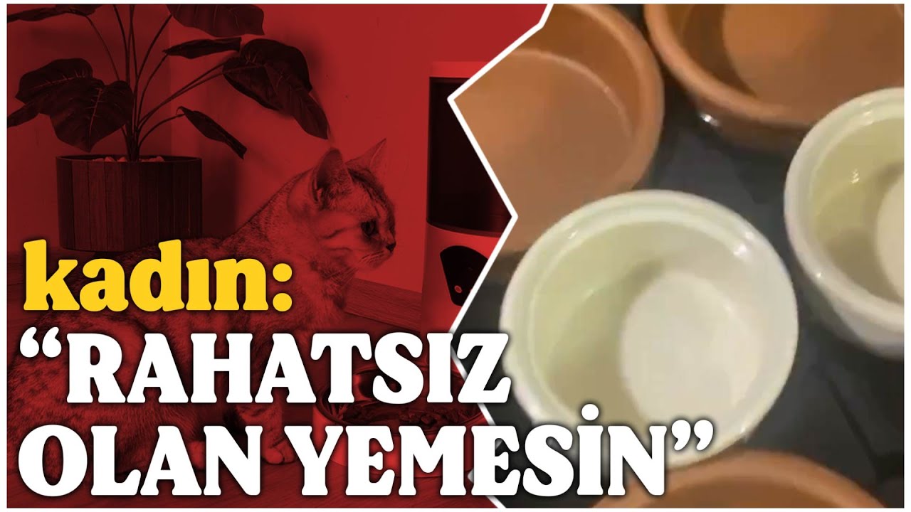 MİSAFİRLERİNE KEDİSİNİN KABINDAN YEDİREN KADIN | PODCAST