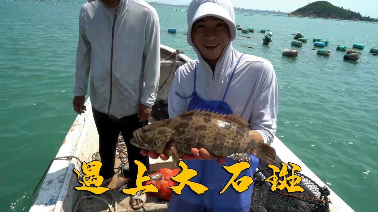 阿烽放螃蟹笼竟遇上石斑窝，值钱大货抓到手软，一条就能卖1000多