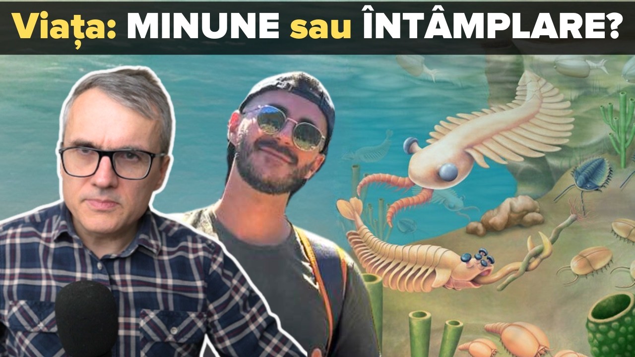 Am apărut din praful stelelor? Dovezile care nu pot fi ignorate
