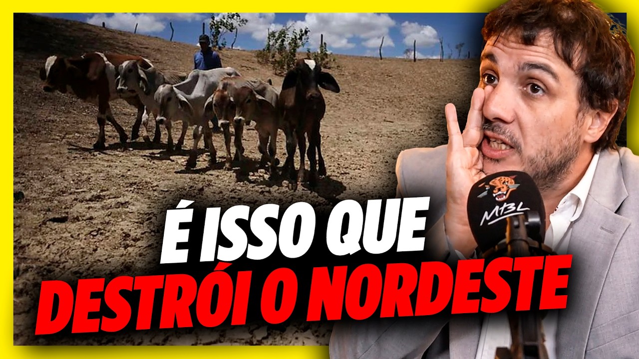 O PLANO PARA SALVAR O NORDESTE! | Cortes do @MBLiveTV - Lives do MBL
