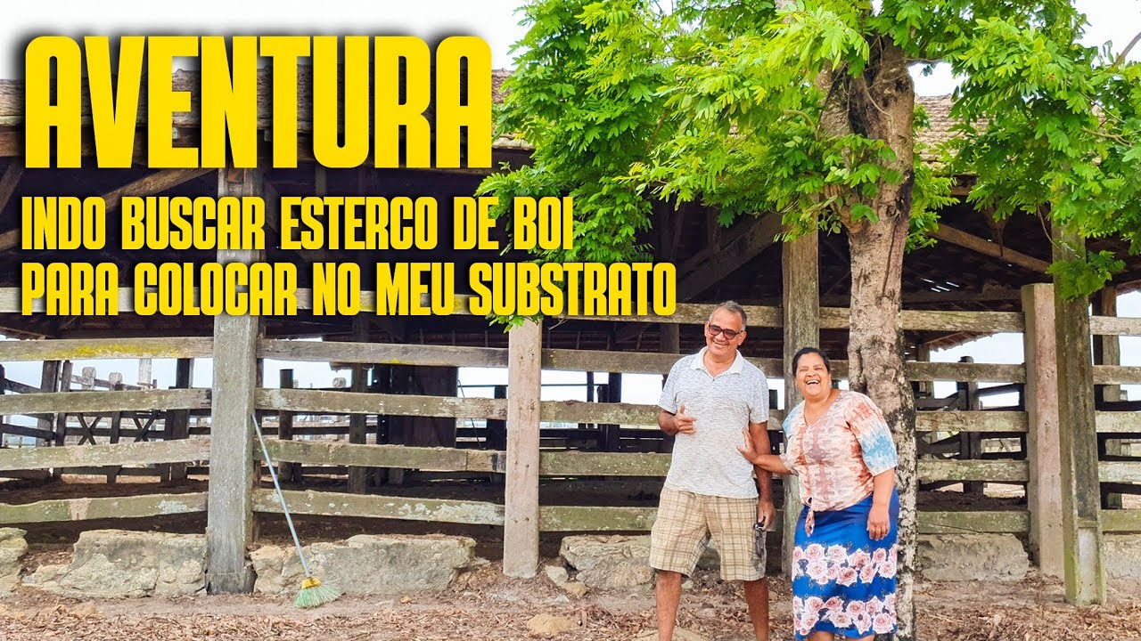 AVENTURA EM FAMÍLIA: INDO BUSCAR ESTERCO DE BOI PARA FAZER O MEU SUBSTRATO | ADUBO PARA PLANTAS