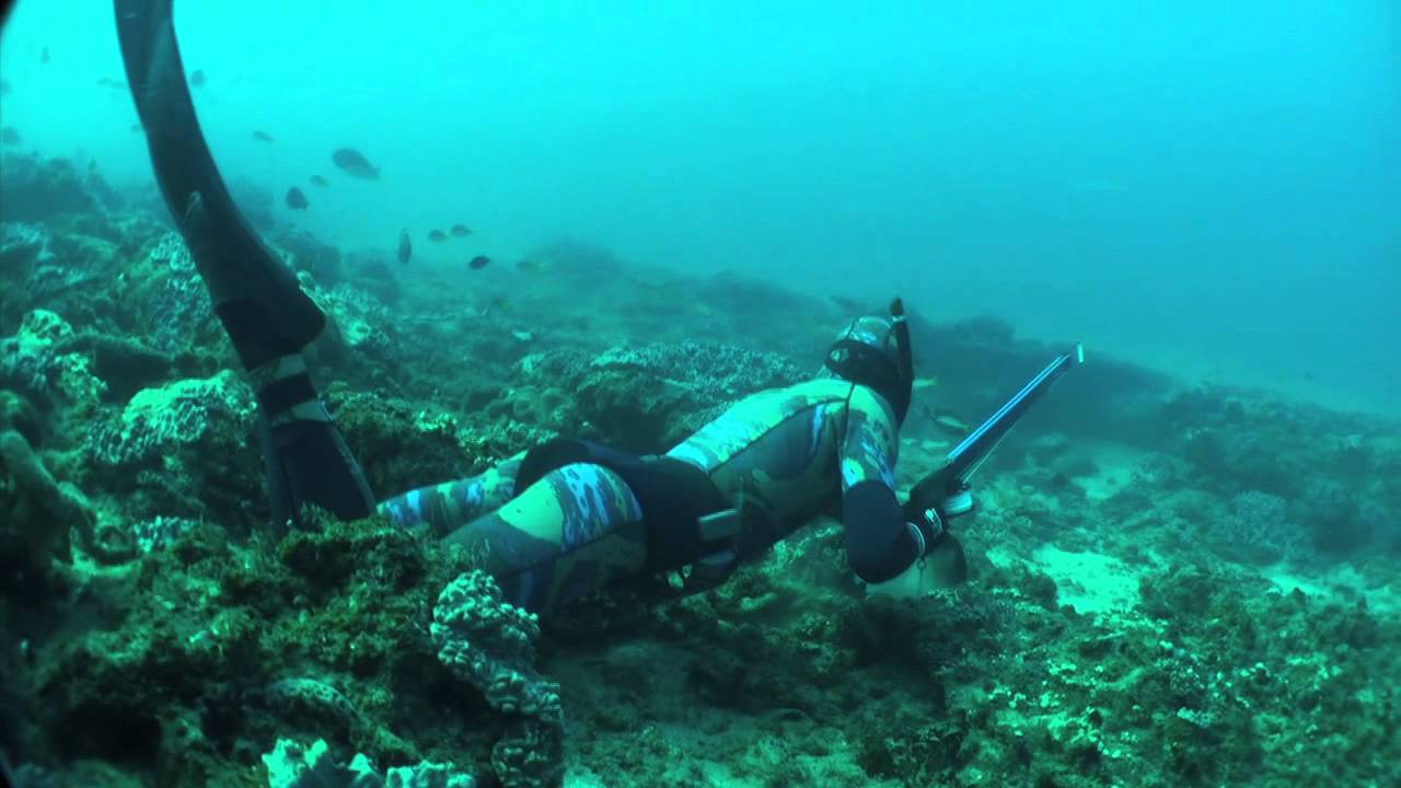 Spearfishing by Brod Whittaker Vol 5