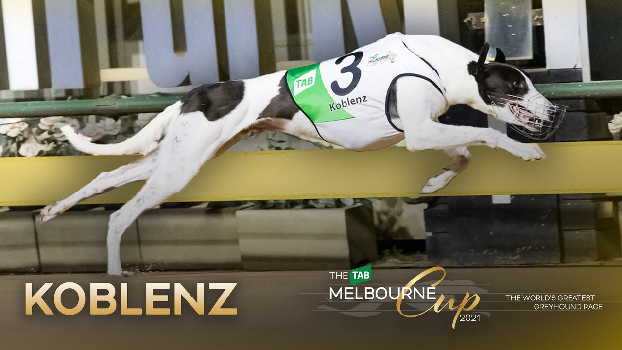 2021 TAB Melbourne Cup | Koblenz