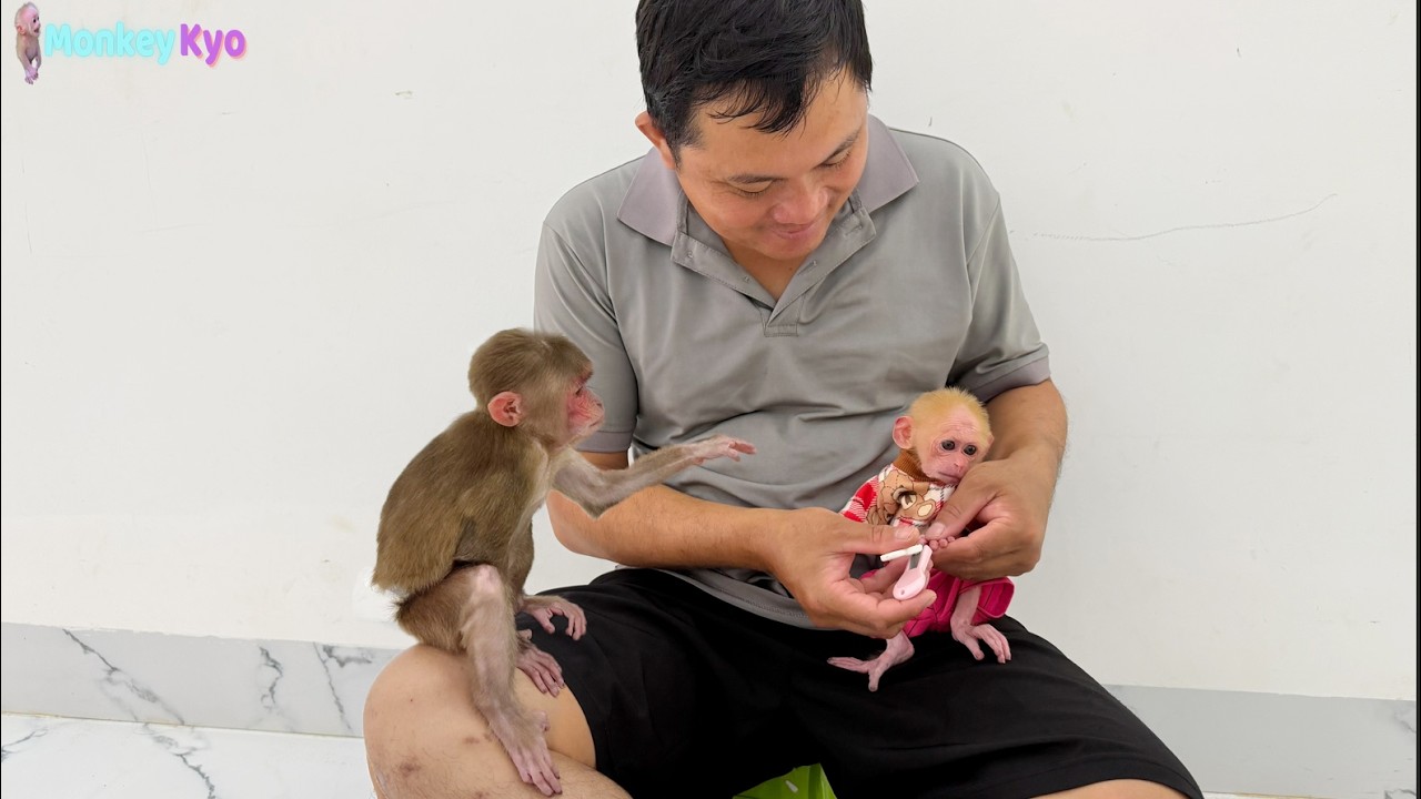 Kyo had a special request for Dad — And it made her and BuNa so happy!