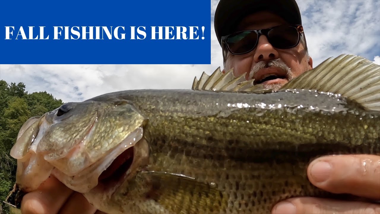 Epic Fall Pond Fishing with Minnows!