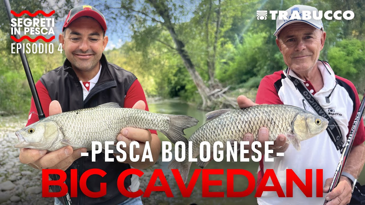 Pesca Bolognese in Romagna: I COME CATTURARE i Big Barbi | SEGRETI IN PESCA S1E4