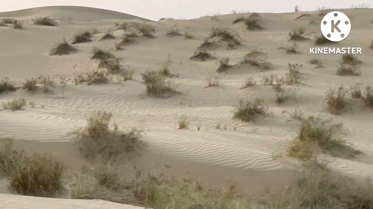 PART 2 EXPLORER IN DESSERT SAFARI (JOVILINE THE EXPLORER)