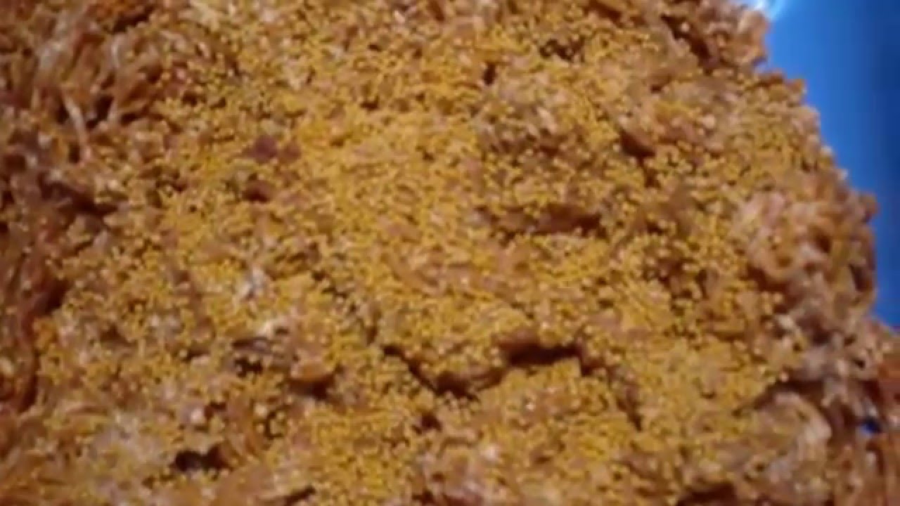 Wurst selber machen - Kochsalami