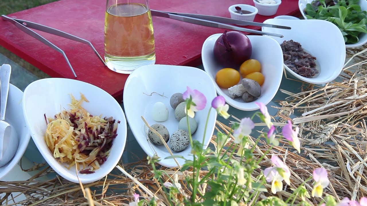 Scopri l'uovo di quaglia: un portentoso farmaco naturale