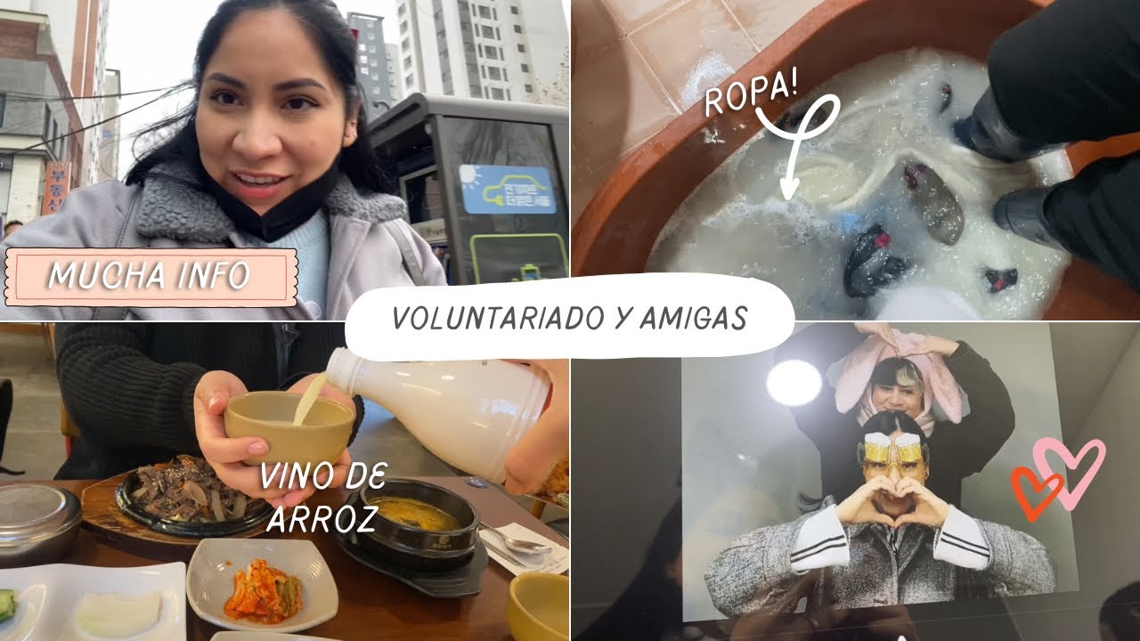 🇰🇷Un fin de semana ocupado en Corea ¿Cómo hacer voluntariados? Y paseo con mi amiga 🇲🇽