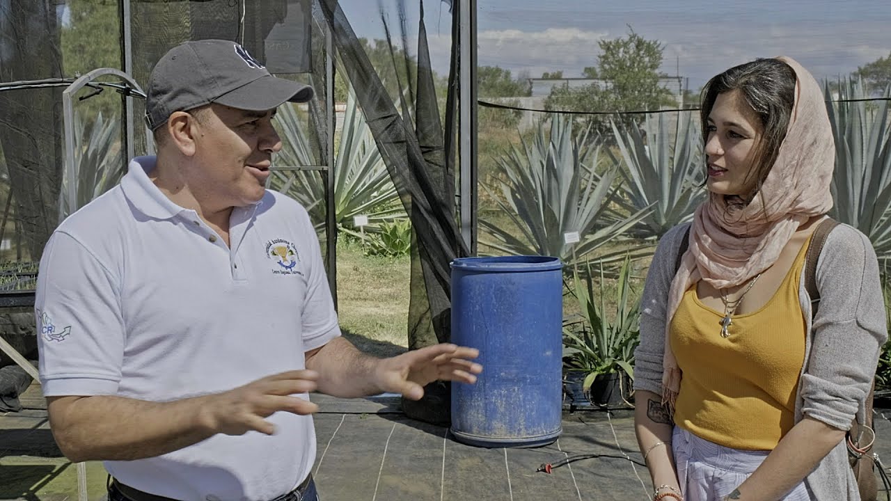 Auf den Spuren der Agave - Taiga im Proyecto Maguey (2/3)