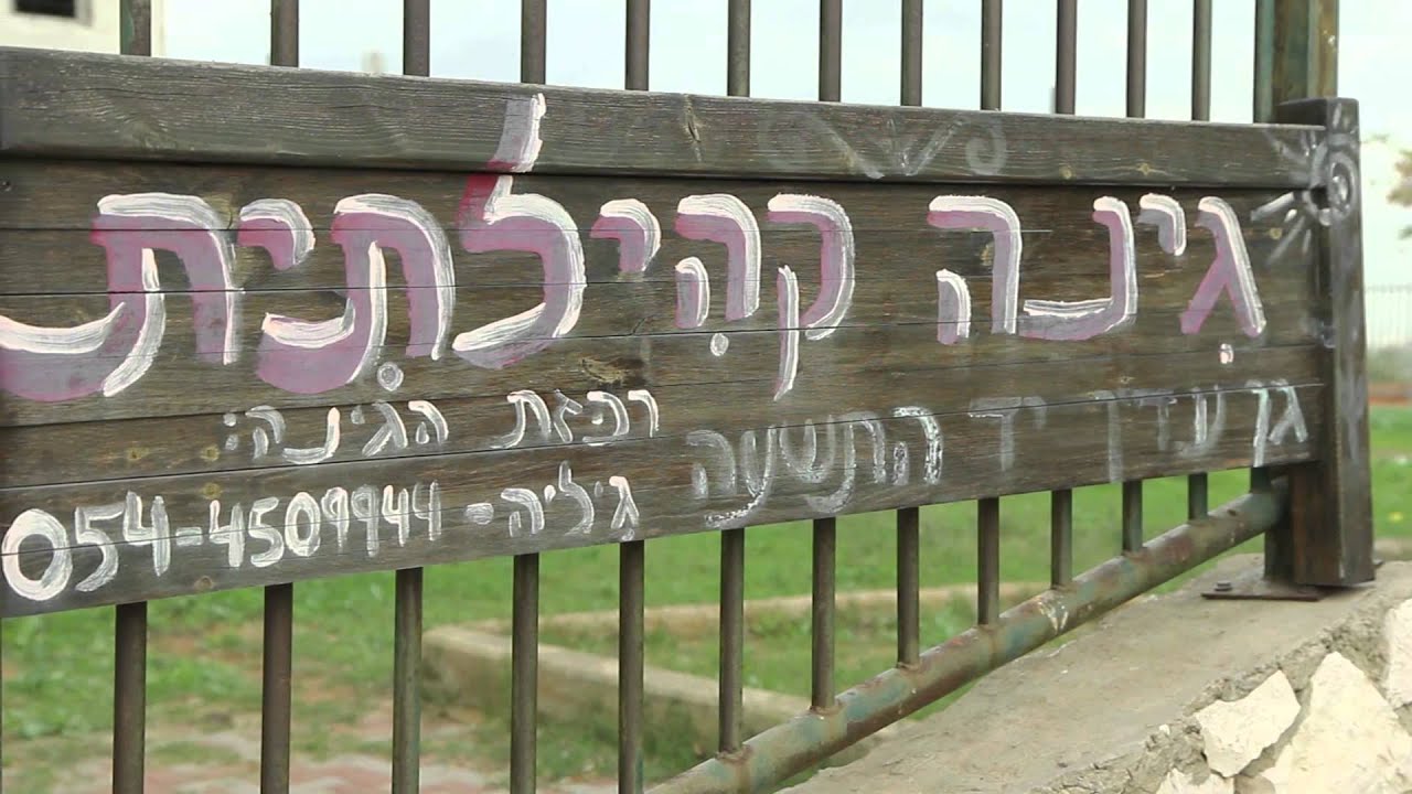הרצליה - עיר של קיימות