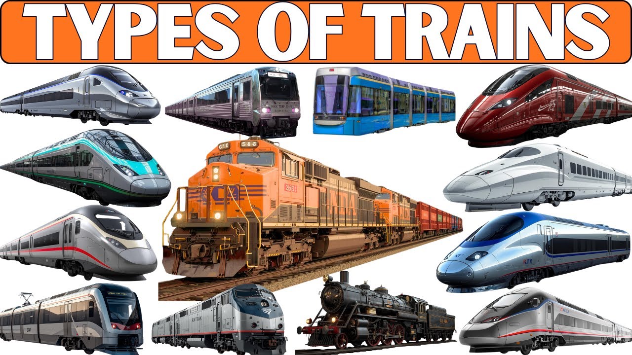 TRAINS for Kids | Explore AMAZING Train Types That You Can't Take Your Eyes Off!