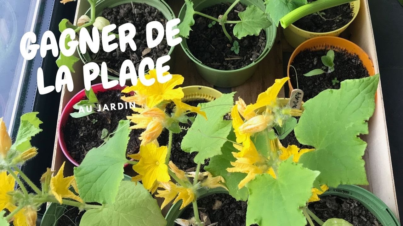 ☘️ Cultiver à la verticale