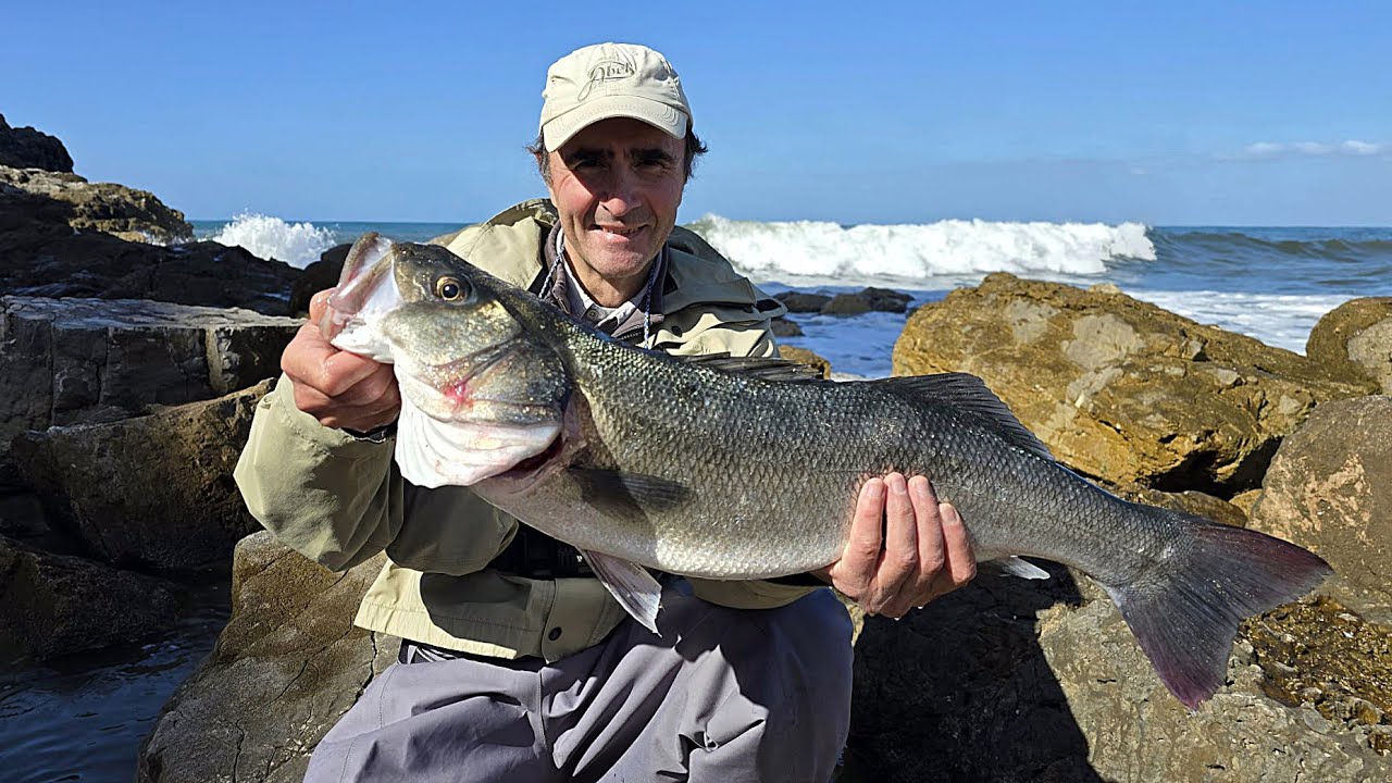 PESCA a SPINNING alla SPIGOLA una cattura da sogno