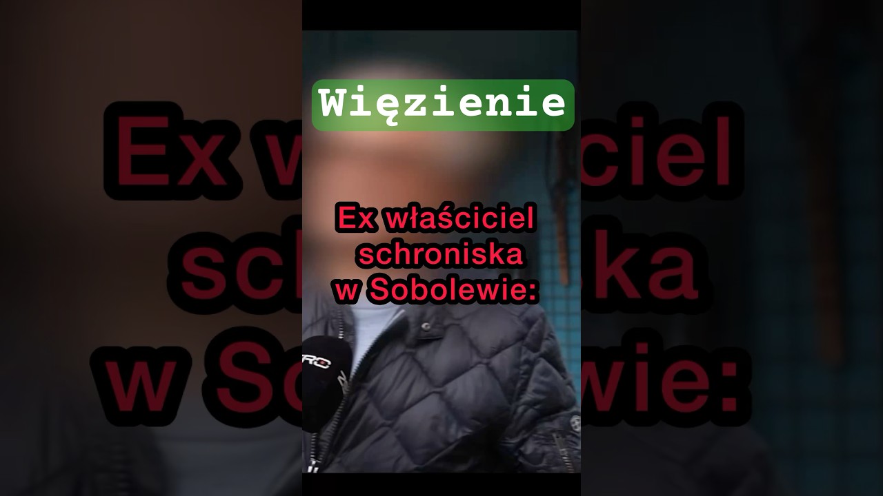 Właściciel schroniska idzie do WIĘZIENIA! ⚖️