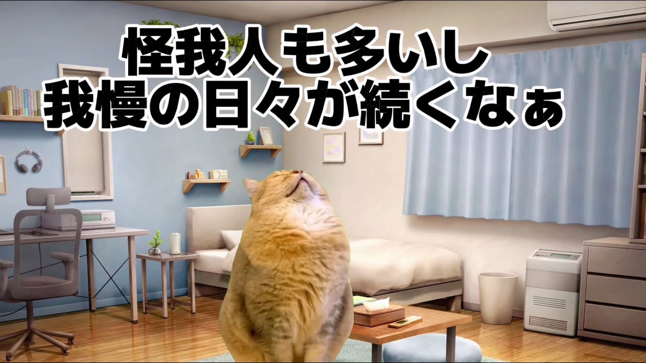 【中日】 猫ミーム 岡林選手が怪我が判明し試合もボロ負けで3連勝を逃して絶望する中日ファン #猫ミーム #中日ドラゴンズ #岡林勇希 #細川成也 #村松開人 #福永裕基 #櫻井頼之介 #花田旭