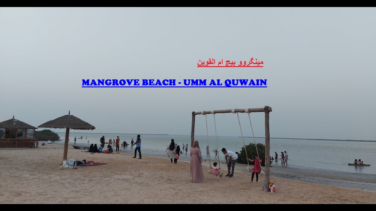 Mangrove Beach Umm Al Quwain | Umm Al Quwain Mangroves | Night Camping Spot | Chakwal to Gulf.